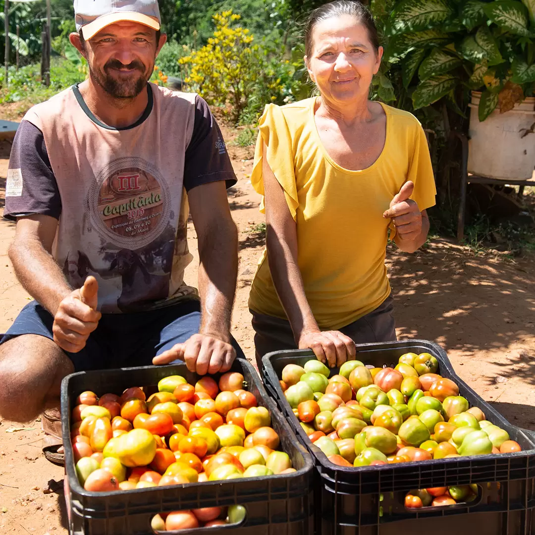 Instituto Novo Sertão — foto 01