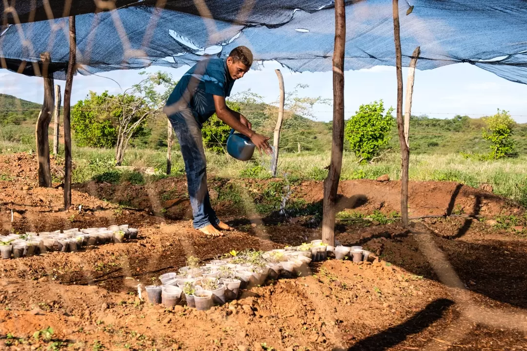 Instituto Novo Sertão — foto 05